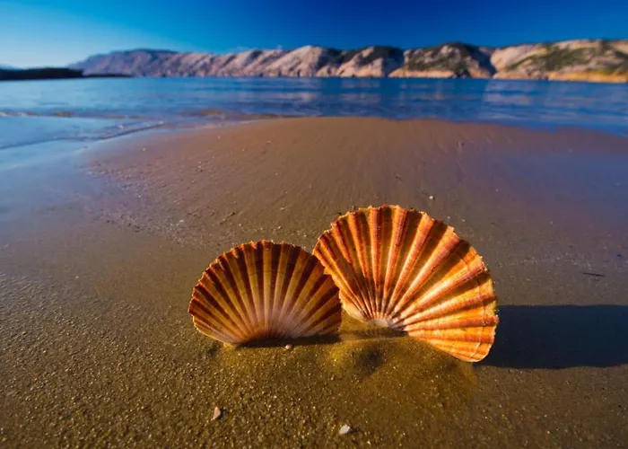 דירה Apartments Kampor Kampor