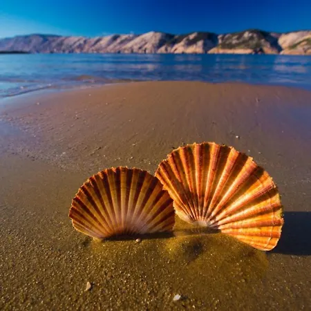 Apartman Apartments Kampor Kampor